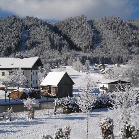 Ferienwohnung Vierthaler Gosau Dış mekan fotoğraf