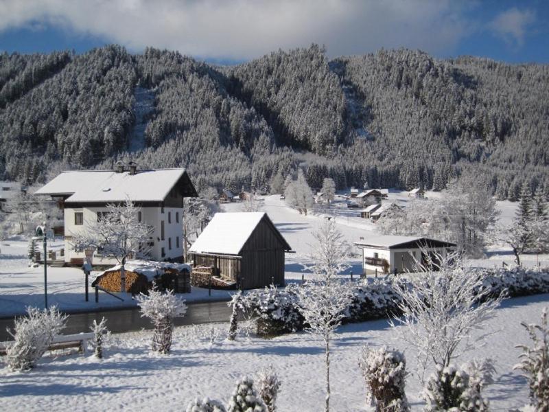 Ferienwohnung Vierthaler Gosau Dış mekan fotoğraf